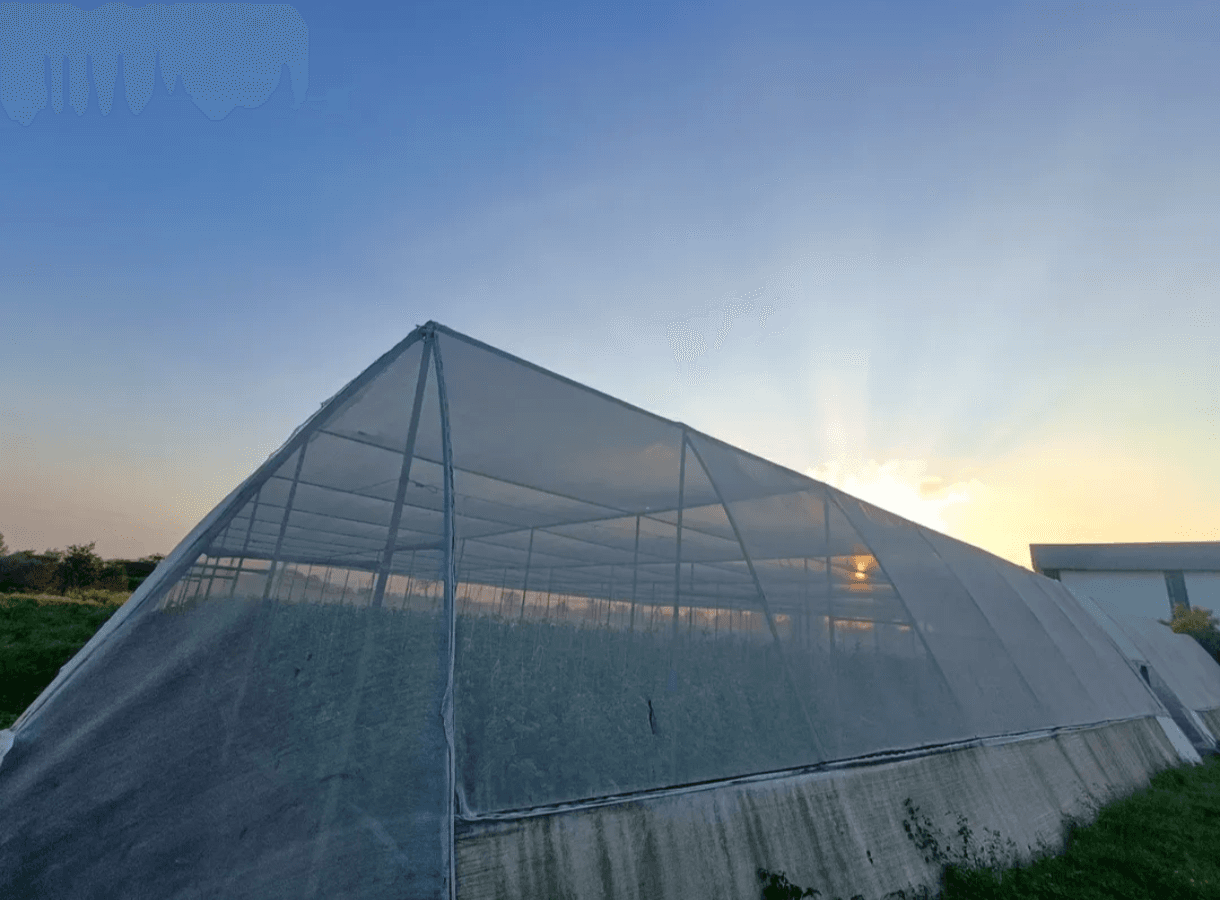 Shade Net Farming
